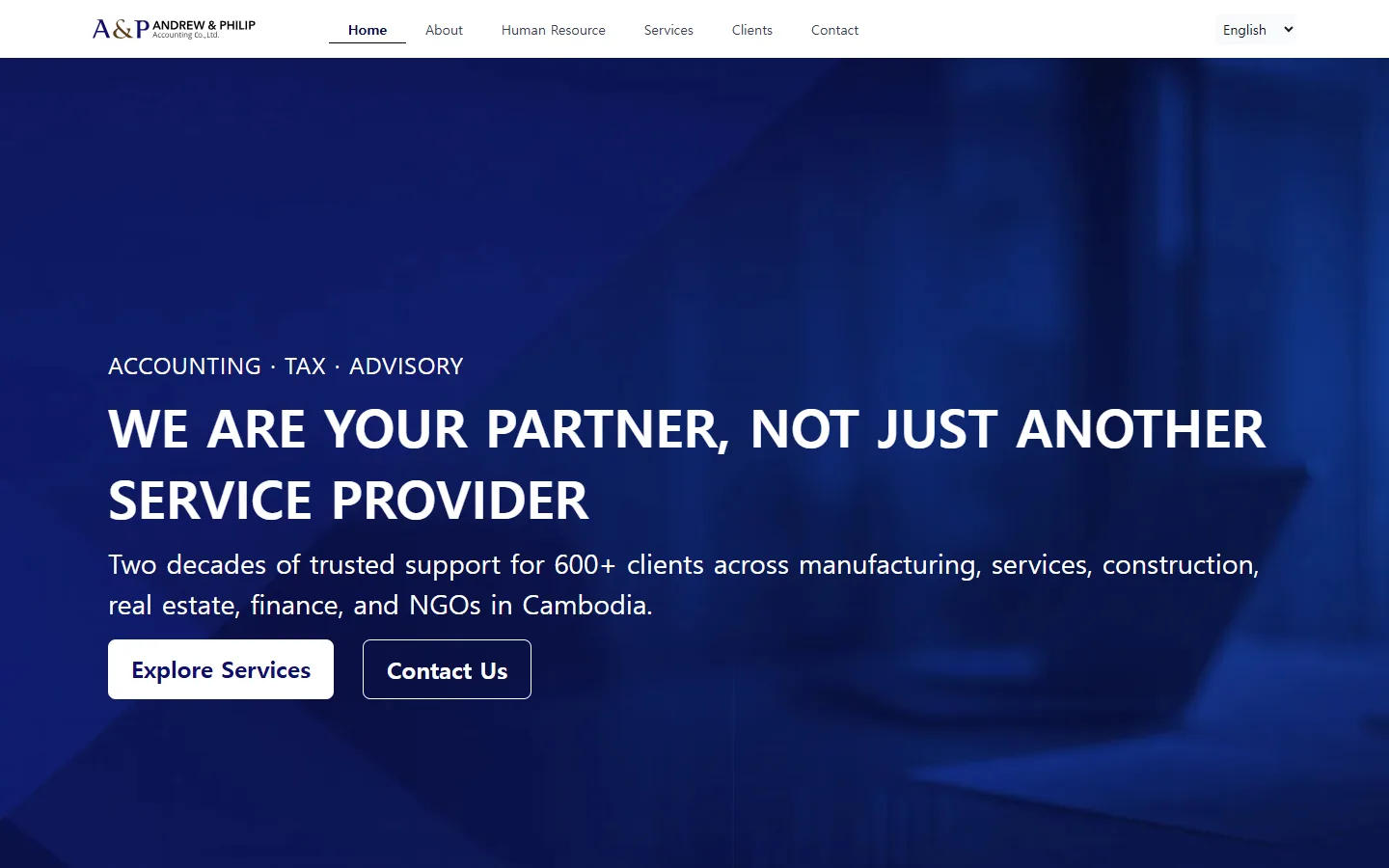 A&P Accounting website screen